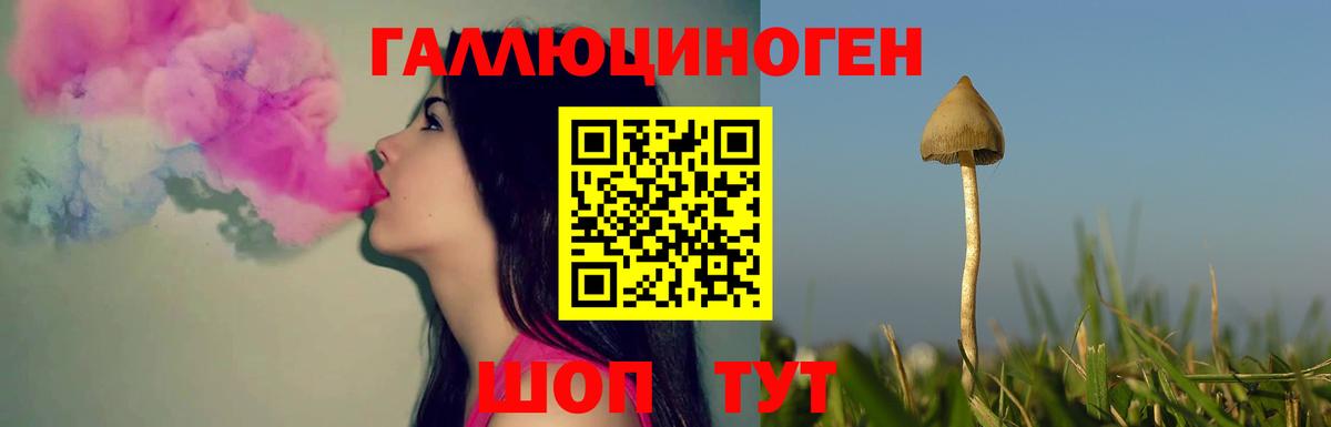 Галлюциногенные грибы MAGIC MUSHROOMS  Вход с VPN  Тула 